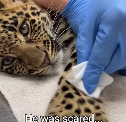 Q1804002 Your moment… or their lifetime? (Part 2)