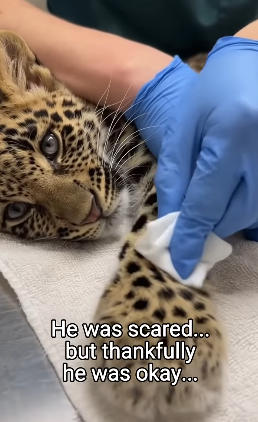 Q1804002 Your moment… or their lifetime? (Part 2)