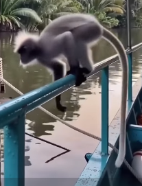 Q1804003 Your decision… or their ending? (Part 2)