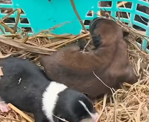 N1604004 Be brave… or be silent? (Part 2)