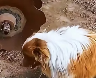 M1604004 Your money… or their miracle? (Part 2)