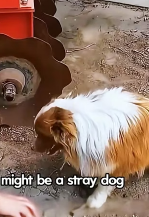 M1604004 Your money… or their miracle? (Part 2)