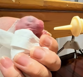 D1804005 Help now… or hope someone else will? (Part 2)