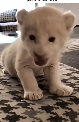 D1804009 Be their chance… or miss it? (Part 2)