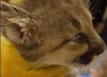 E1804010 Spend again… or save once? (Part 2)