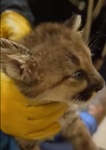 E1804010 Spend again… or save once? (Part 2)