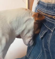 H1804001 Life saved… or life forgotten? (Part 2)