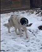 H1804006 You have the power — use it. (Part 2)