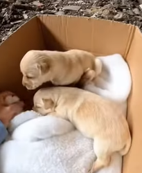 J1804004 Choose comfort… or choose courage? (Part 2)