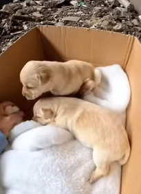 J1804004 Choose comfort… or choose courage? (Part 2)