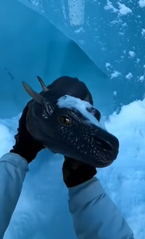 J1804005 Save a life… or save excuses? (Part 2)