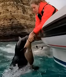 Z1804003 Help now… or never? (Part 2)