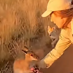 Z1804004 Stand for something… or nothing? (Part 2)