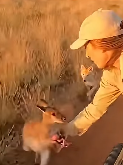 Z1804004 Stand for something… or nothing? (Part 2)