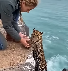 Z1804006 Make a choice… or avoid it? (Part 2)