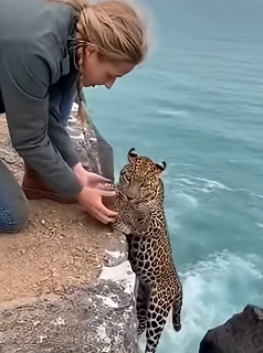 Z1804006 Make a choice… or avoid it? (Part 2)