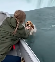 Z1804007 Your luxury… or their survival? (Part 2)