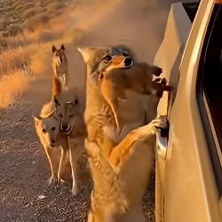 Z1804010 Your choice… or their life? (Part 2)