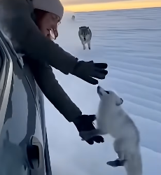 Z1804012 Your habit… or their hope? (Part 2)