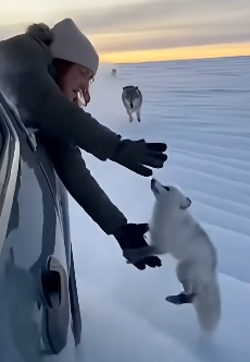 Z1804012 Your habit… or their hope? (Part 2)