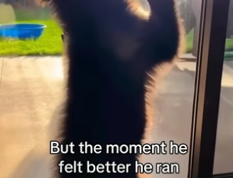 Q1804005 Your wants… or their needs? (Part 2)