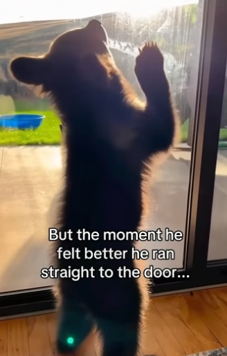 Q1804005 Your wants… or their needs? (Part 2)