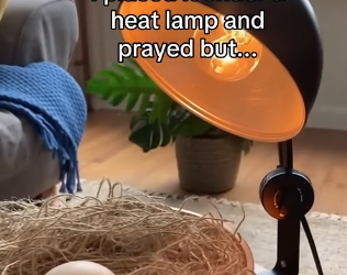 Q1804006 Your peace… or their struggle? (Part 2)