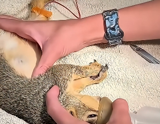 D1804012 Save or regret? (Part 2)