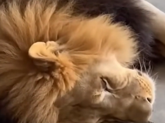 V1804004 A chance taken… or lost? (Part 2)