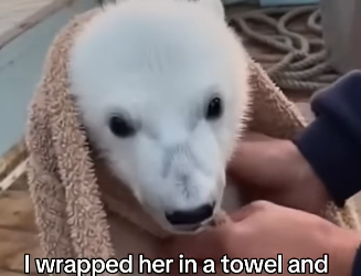 V1804006 Choose life… or choose silence? (Part 2)