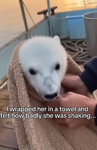 V1804006 Choose life… or choose silence? (Part 2)