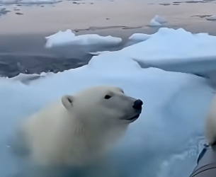 Z1804008 Your comfort… or their pain? (Part 2)