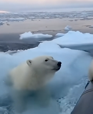 Z1804008 Your comfort… or their pain? (Part 2)