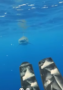 F2004001 You cared — why not act? (Part 2)