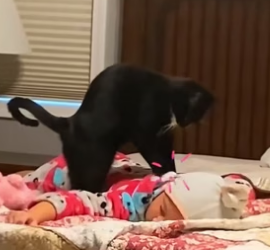 F2004002 You had time — why scroll? (Part 2)