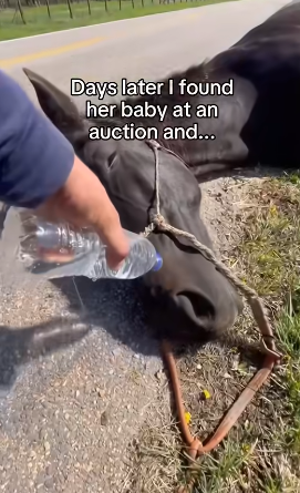 Q1604004 Rescue… or silence? (Part 2)