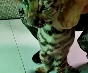 D2004005 They need one act… you decide it.