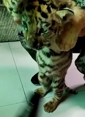 D2004005 They need one act… you decide it.