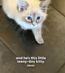 H2004001 What’s your excuse this time? (Part 2)