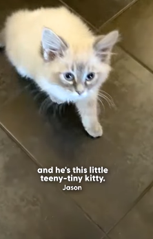 H2004001 What’s your excuse this time? (Part 2)