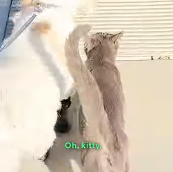 H2004002 What are you waiting for? (Part 2)