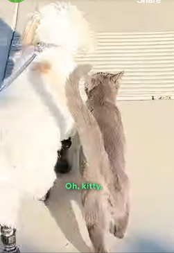 H2004002 What are you waiting for? (Part 2)