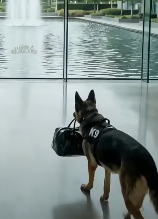 U2004002 One action creates hope. (Part 2)