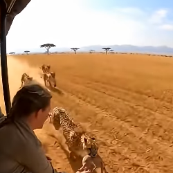 Z2004003 Choose action… or choose silence? (Part 2)