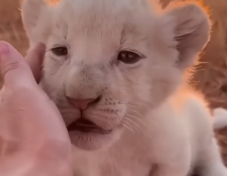 Q2004001 Save now… or too late later? (Part 2)