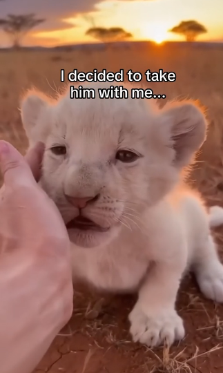 Q2004001 Save now… or too late later? (Part 2)