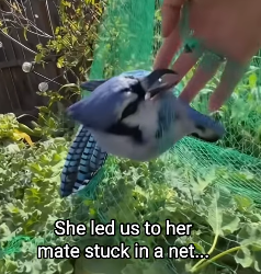 Q2004002 Be brave… or be comfortable? (Part 2)