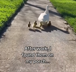 Q2004003 Care enough… or just enough to feel sad? (Part 2)