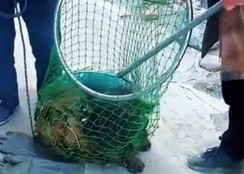 M2004002 Change fate… or ignore it?