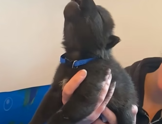 D2004006 They need someone… you could be it. (Part 2)